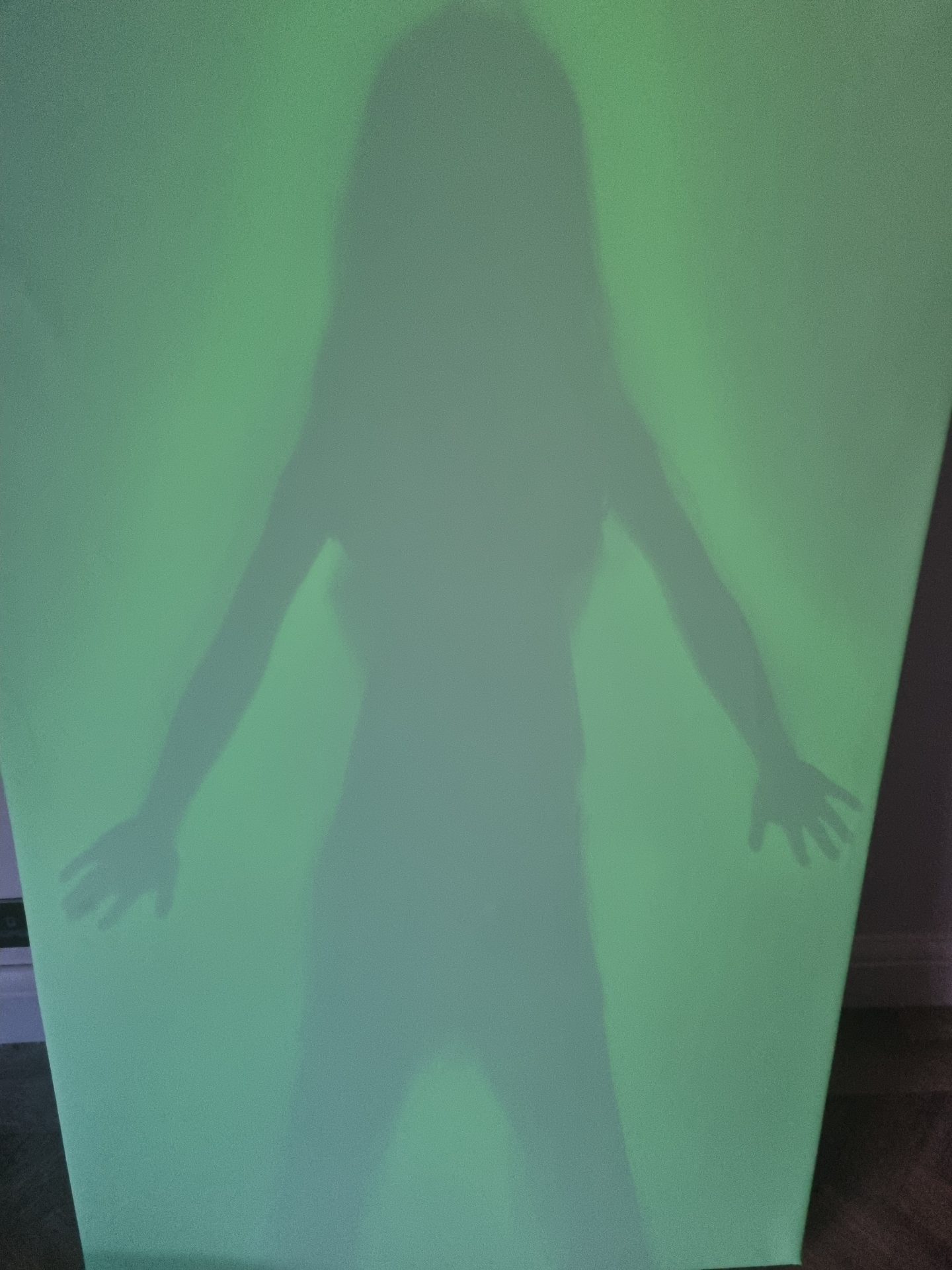 The Shadow Pad - Image 4