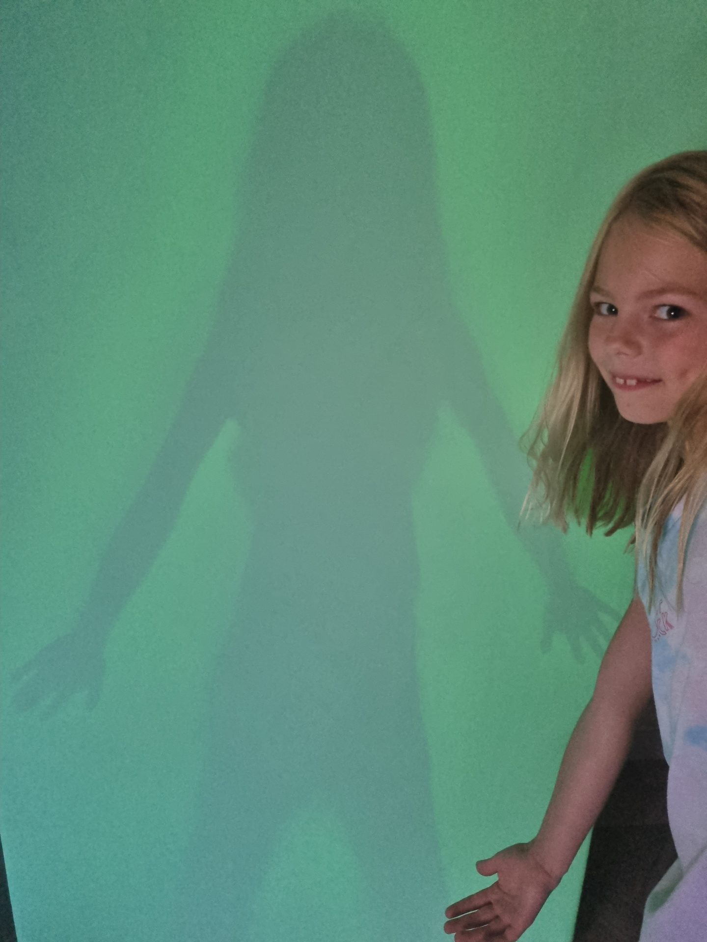 The Shadow Pad - Image 5