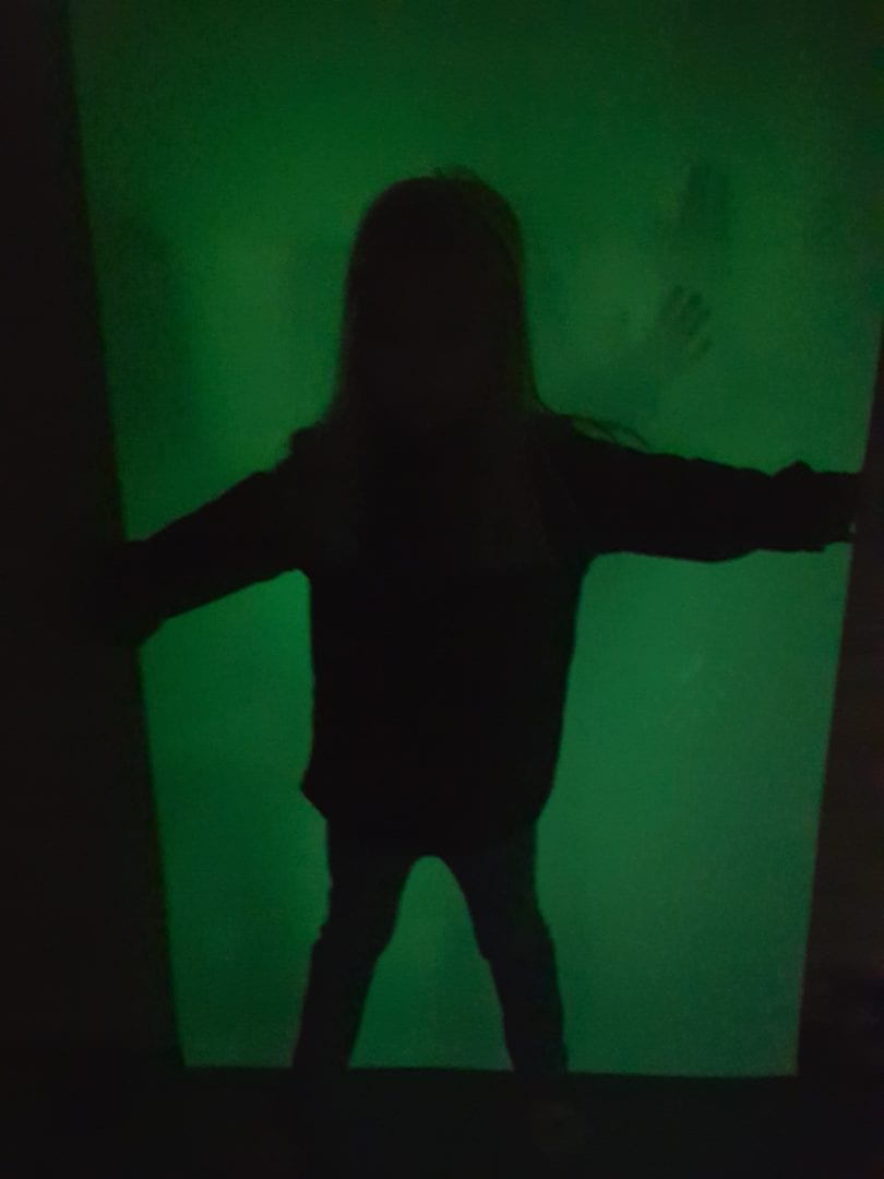 Shadow Pad Shadow Pad