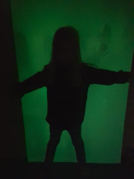 Shadow Pad web