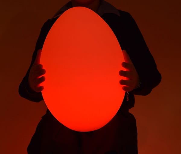 led egg web