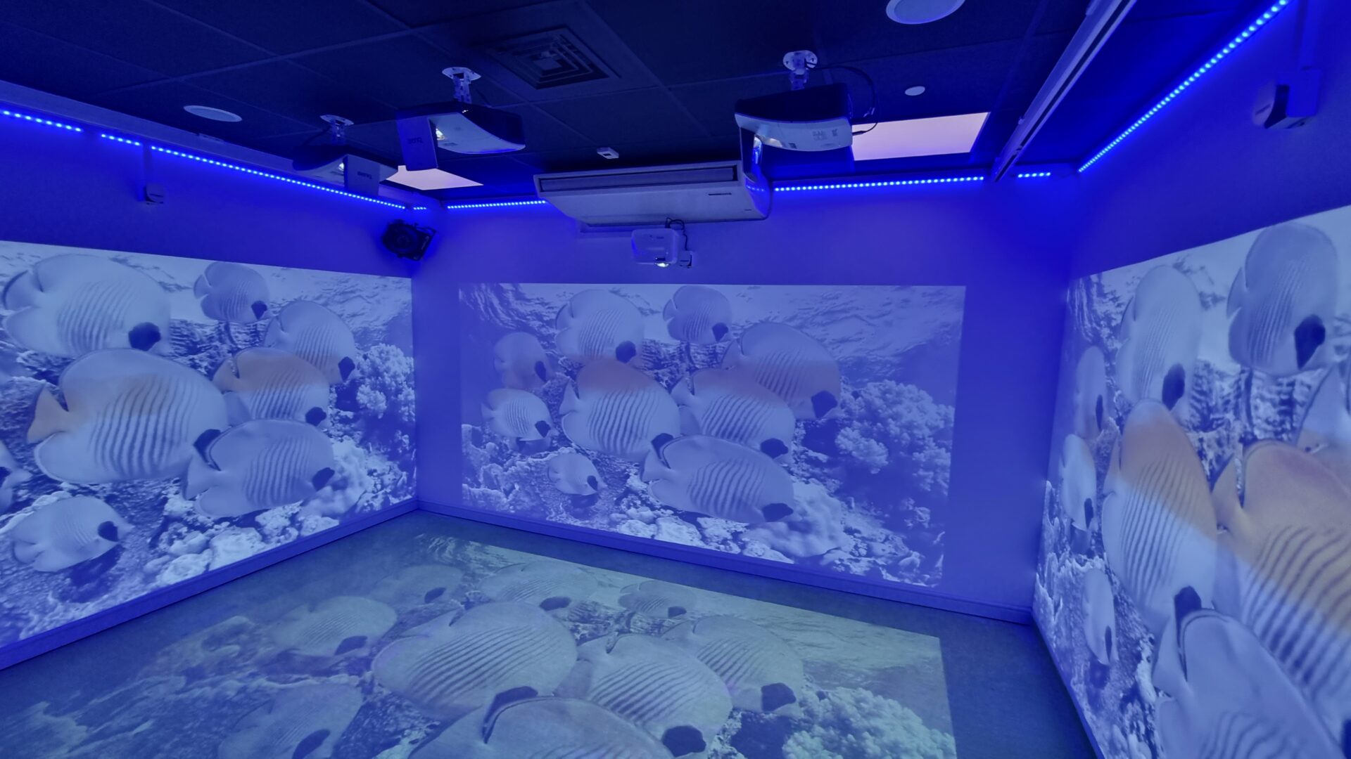 Immersive Sensory Room Corner Package - Image 19
