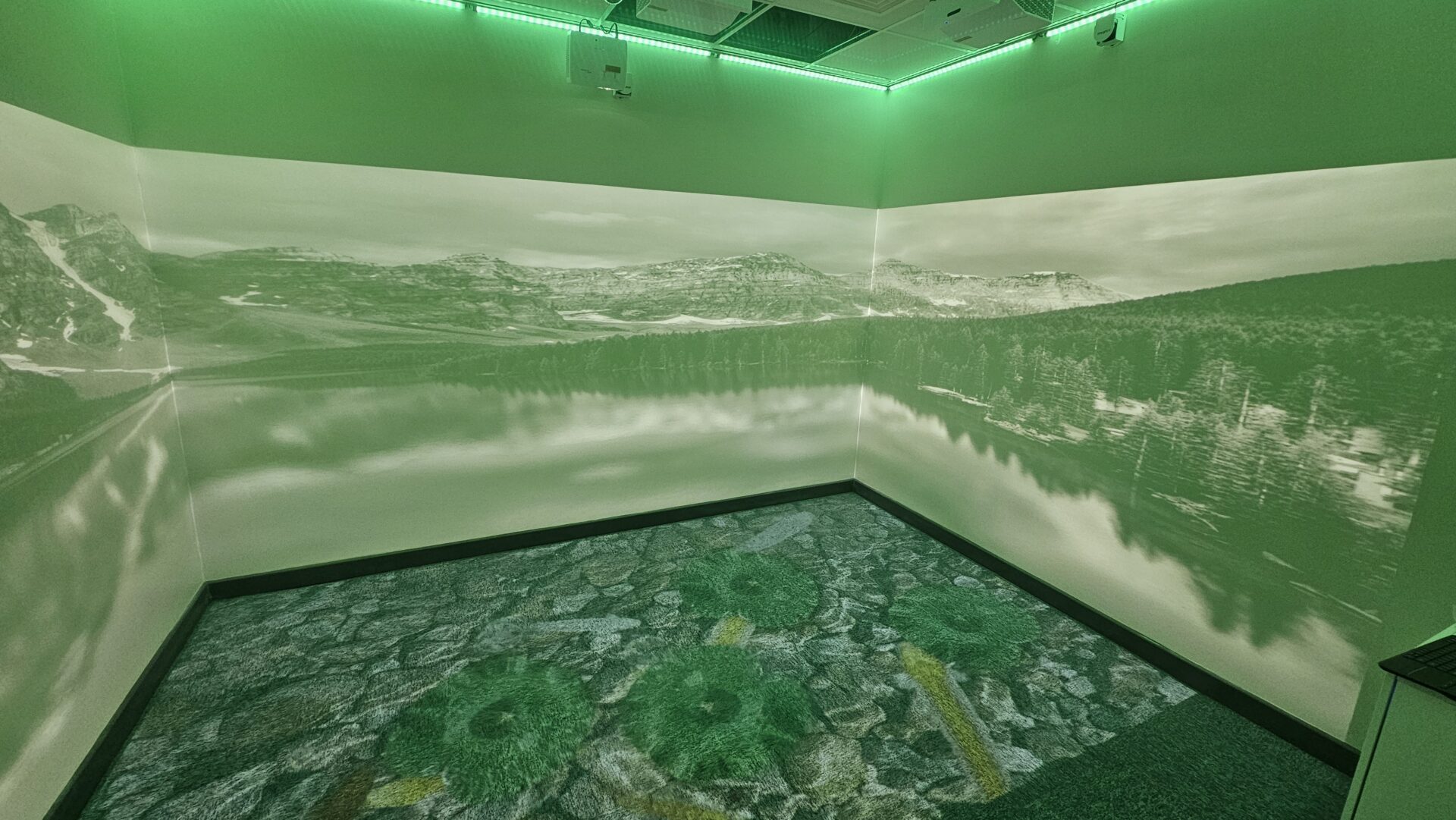 Immersive Sensory Room Corner Package - Image 20