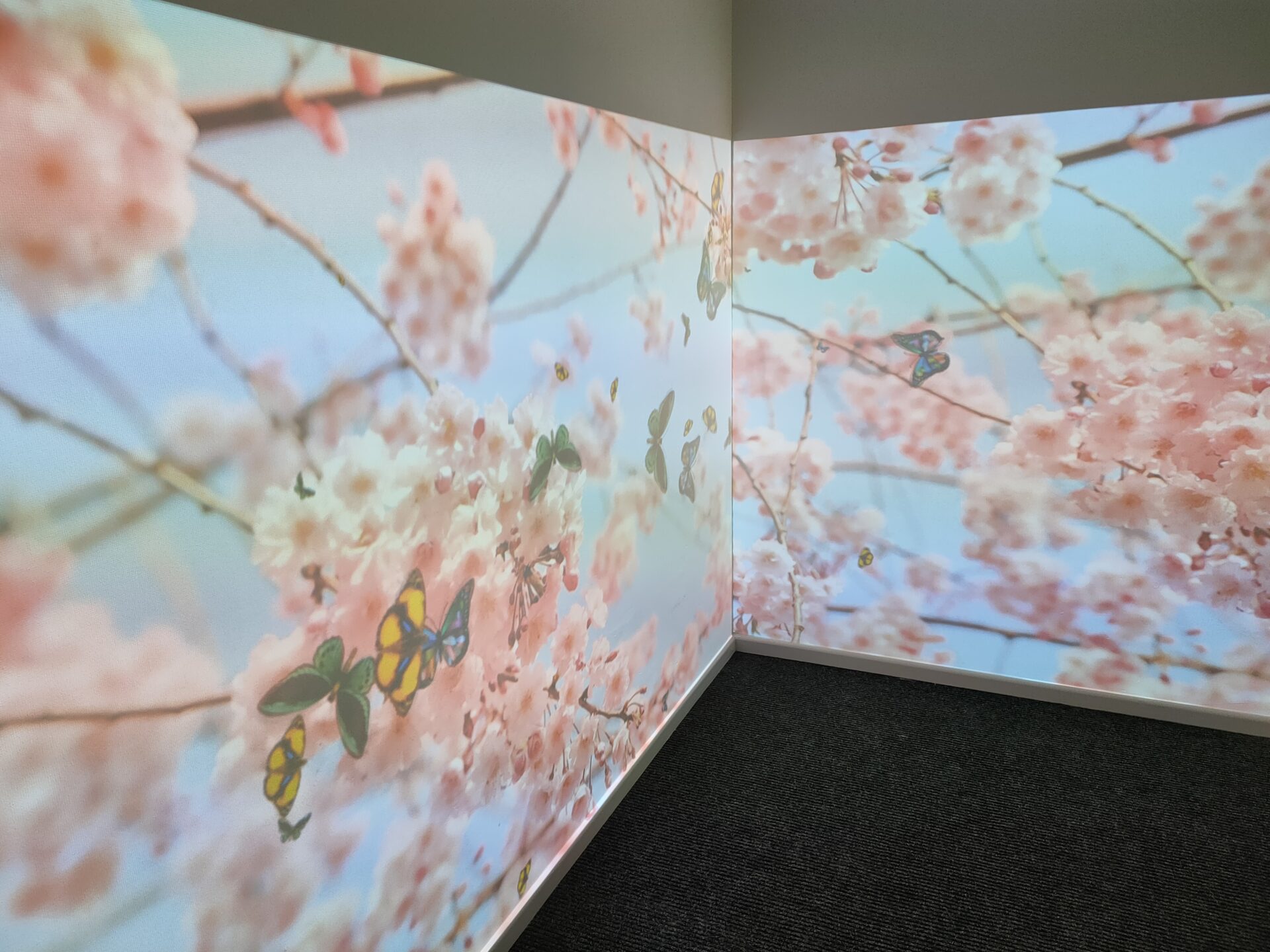Immersive Sensory Room Corner Package - Image 5