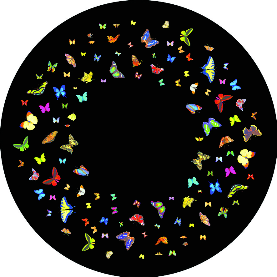Papillon2028Coloured2920FG8102 1