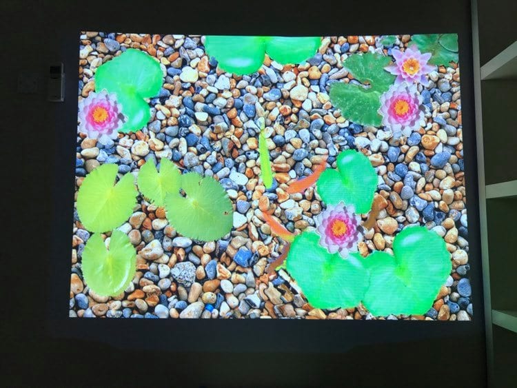 The Maxi Mobile Rise Interactive System- Floors & Walls - Image 4