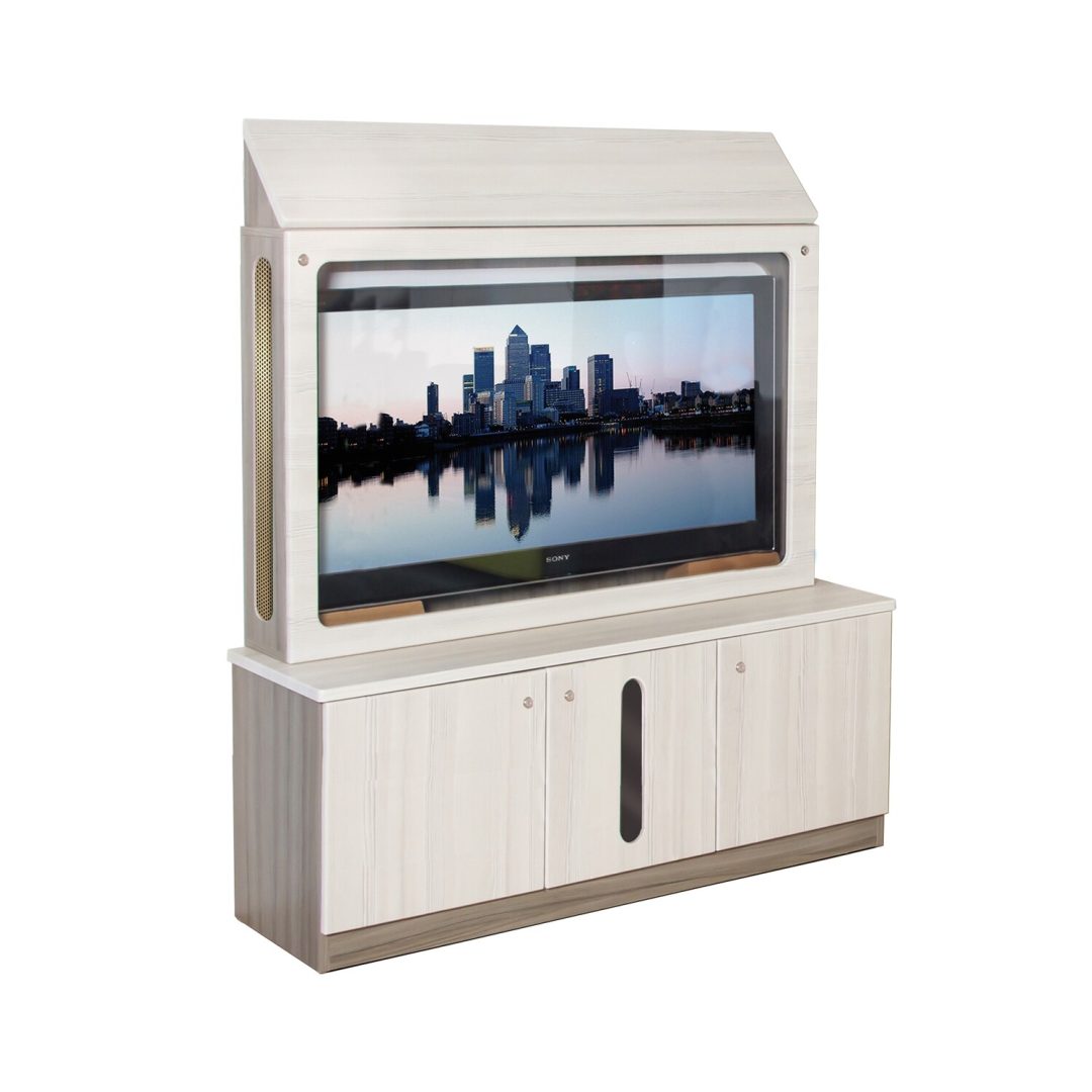 TV Security Unit