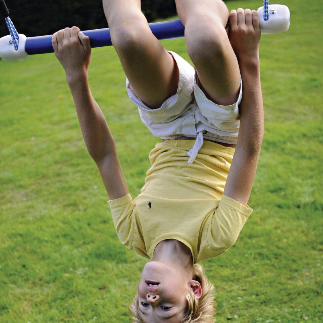 3 Swings and Foldable Frame - Image 6