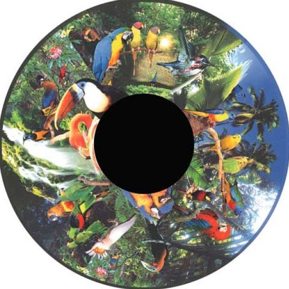 The Rainforest Sensory Room Package - Image 14