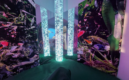 rainforest package