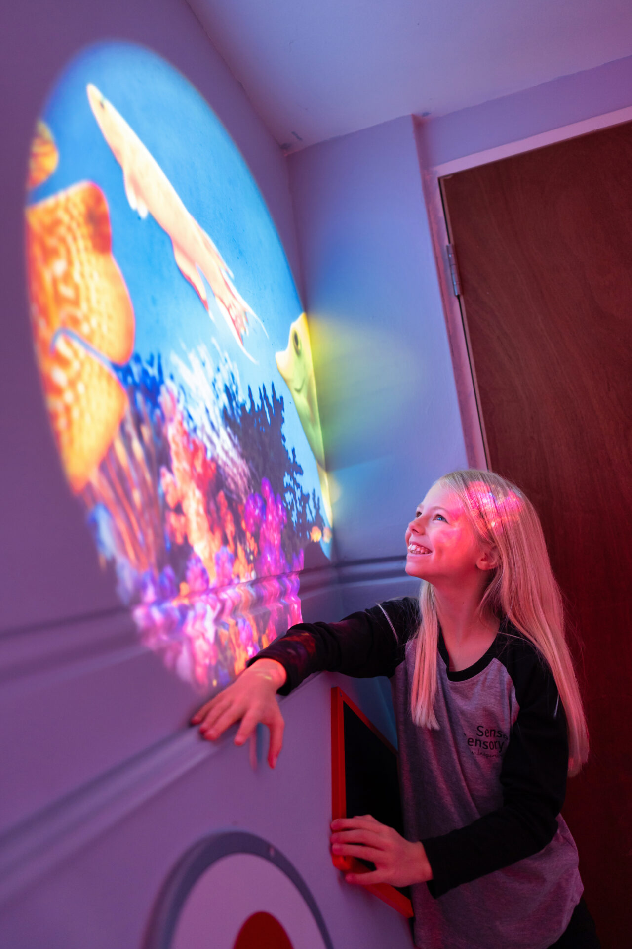 The Complete Sensory Room Package 3 - Image 6