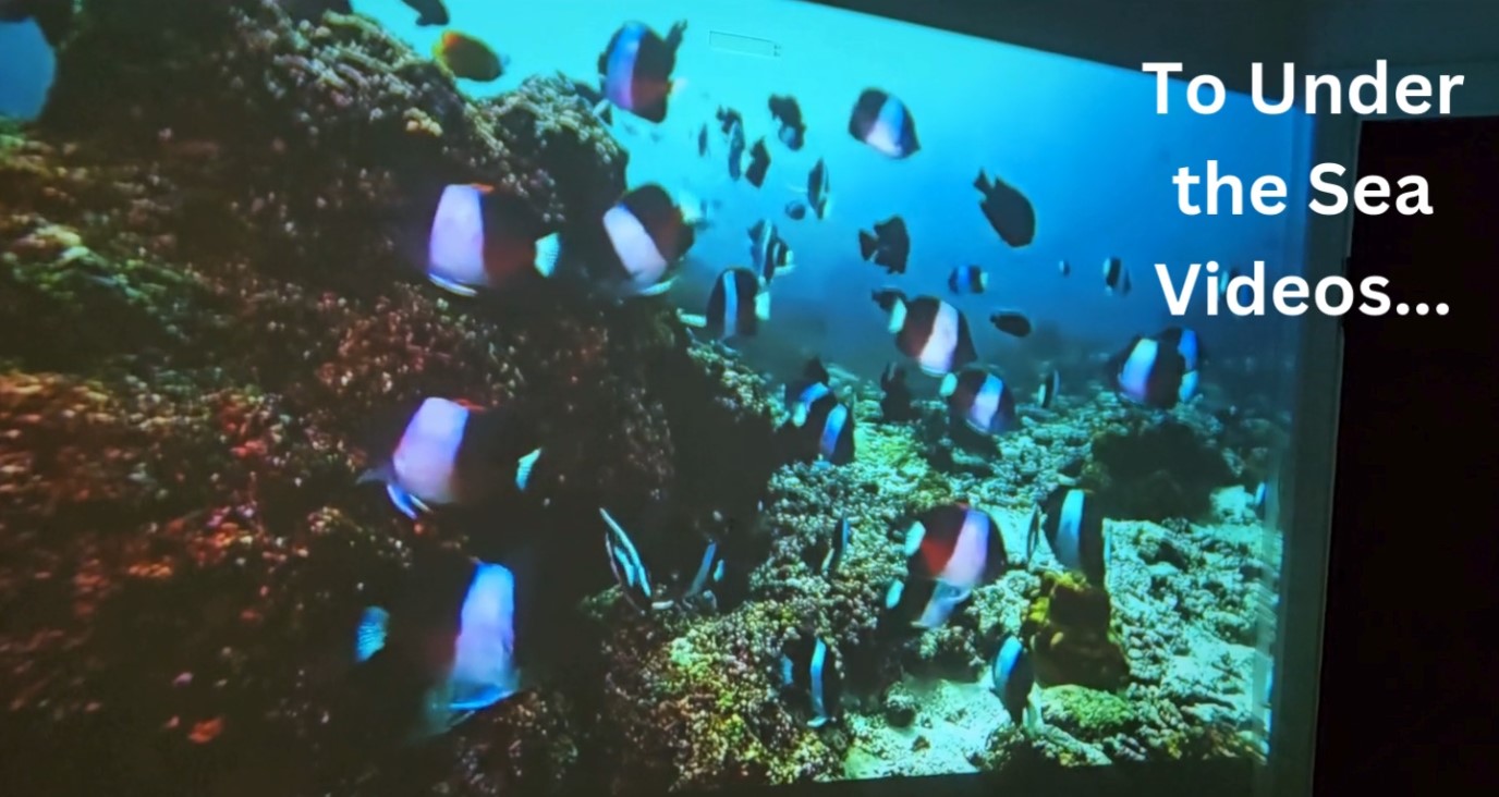 Sensory Projector - Image 3