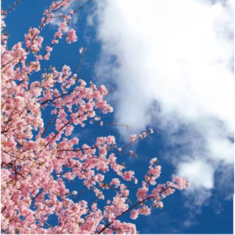 LED Sky Ceiling Panels - Image 5
