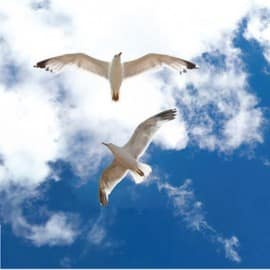 LED Sky Ceiling Panels - Image 8