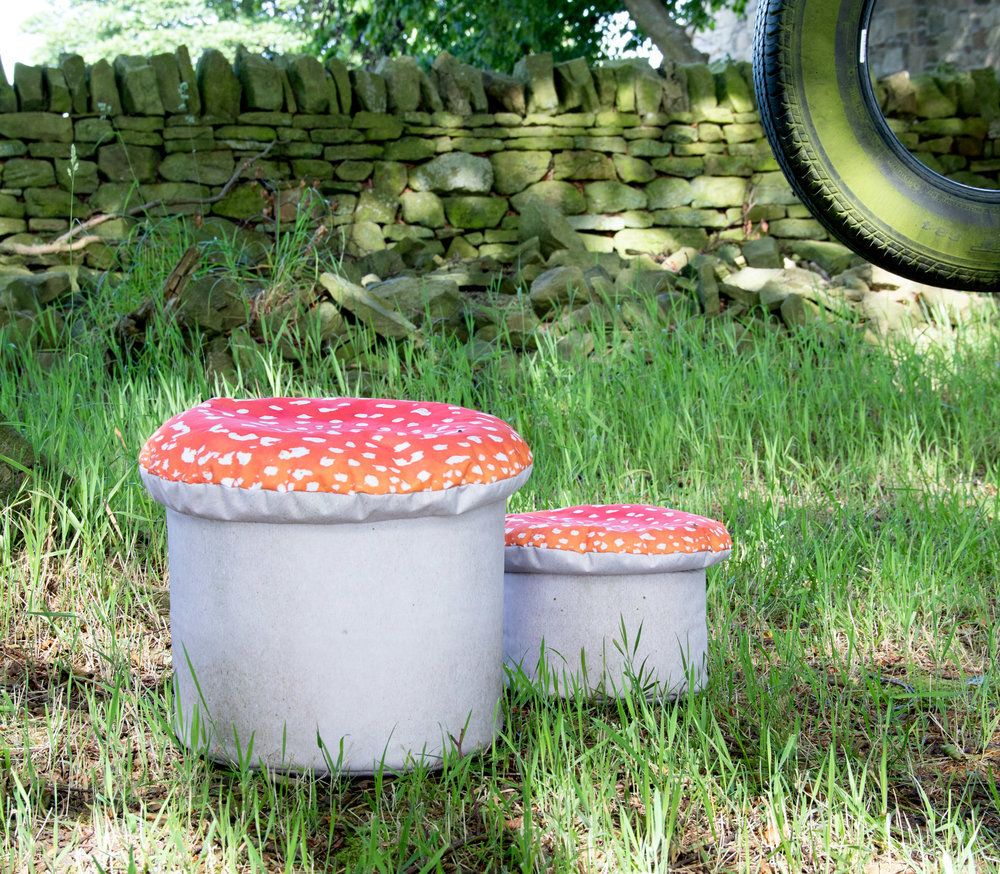 Toadstools - Image 2