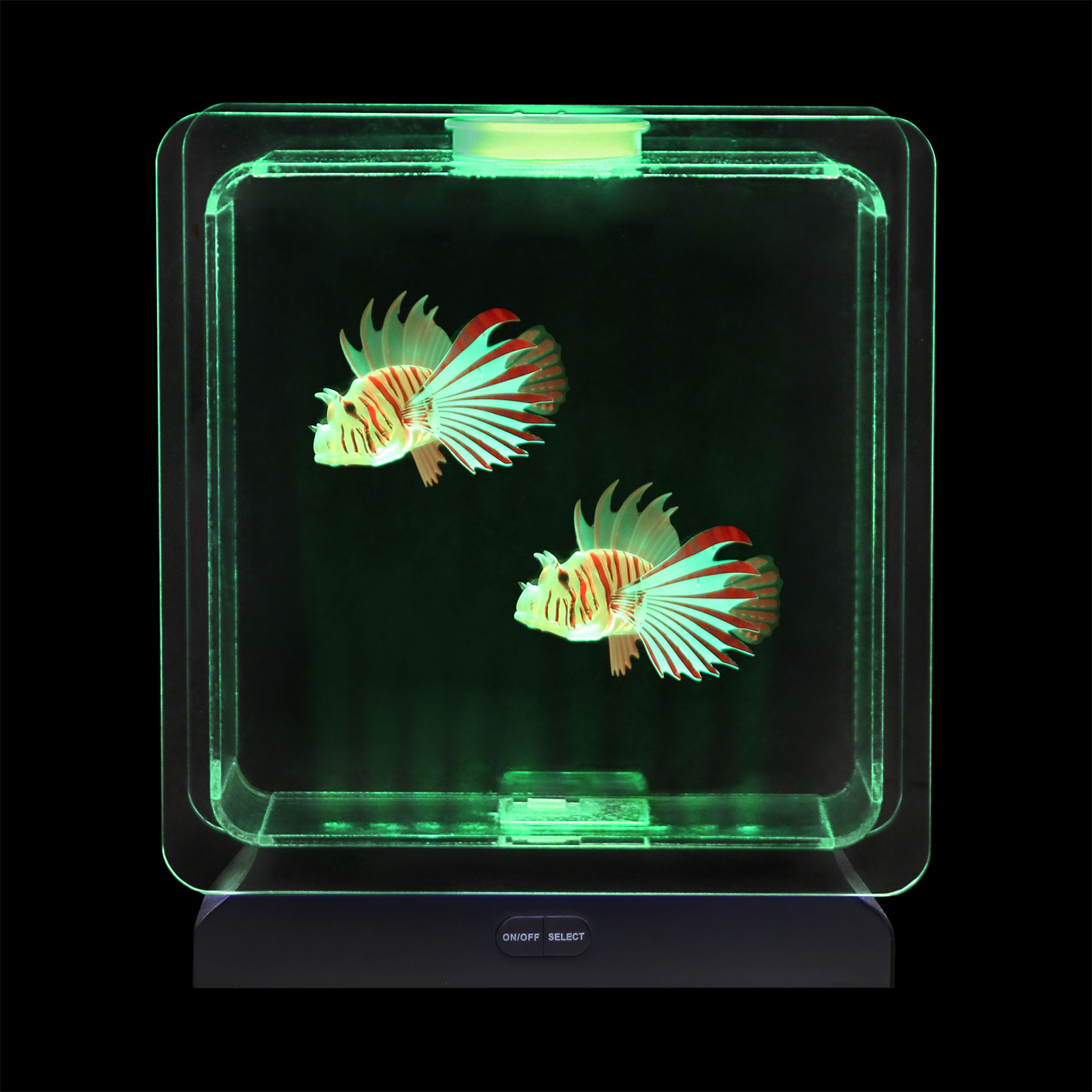 Tropical Fish Tank - Image 2