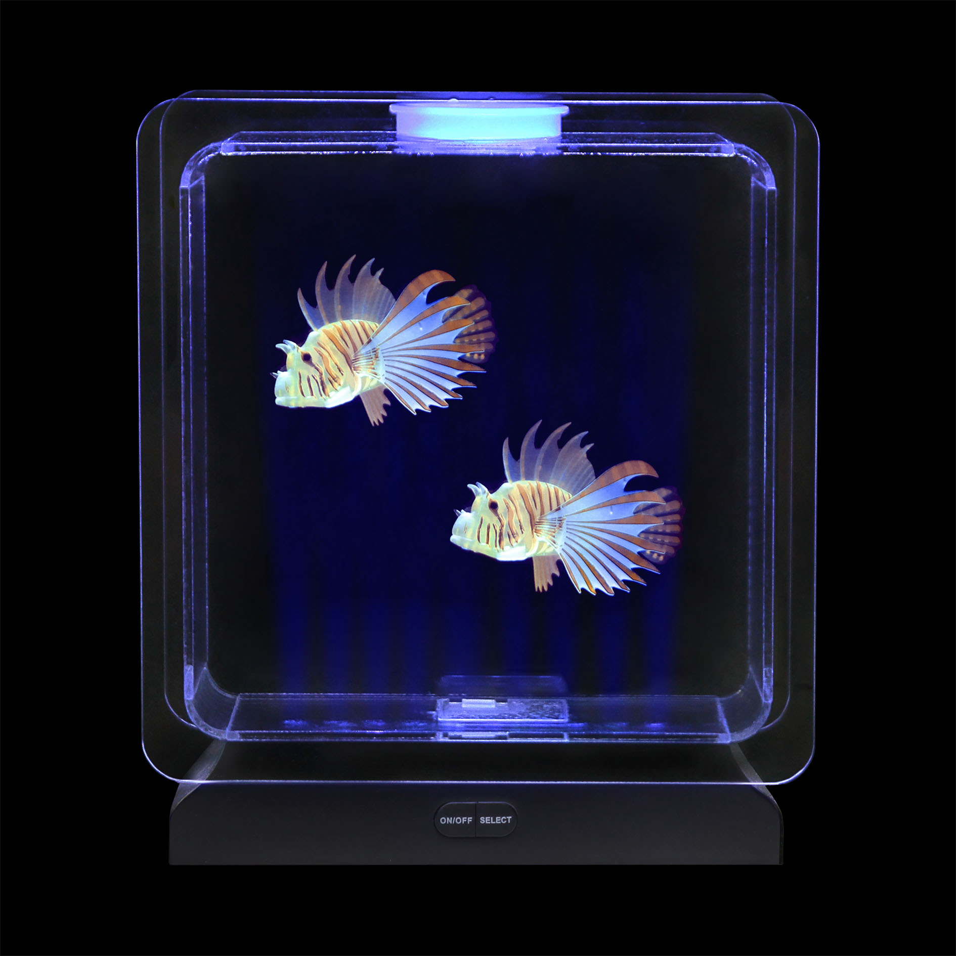 Tropical Fish Tank - Image 3