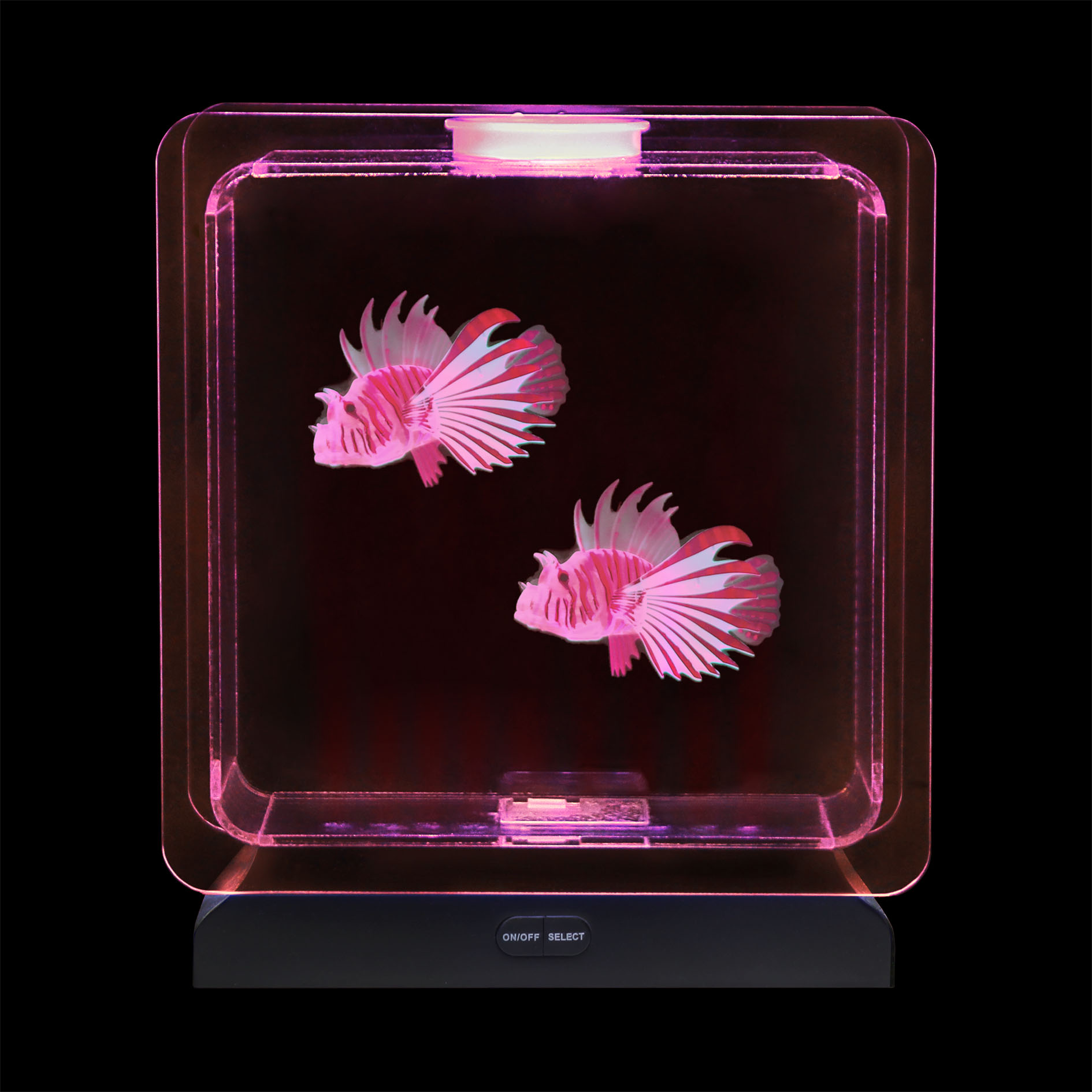 Tropical Fish Tank - Image 4