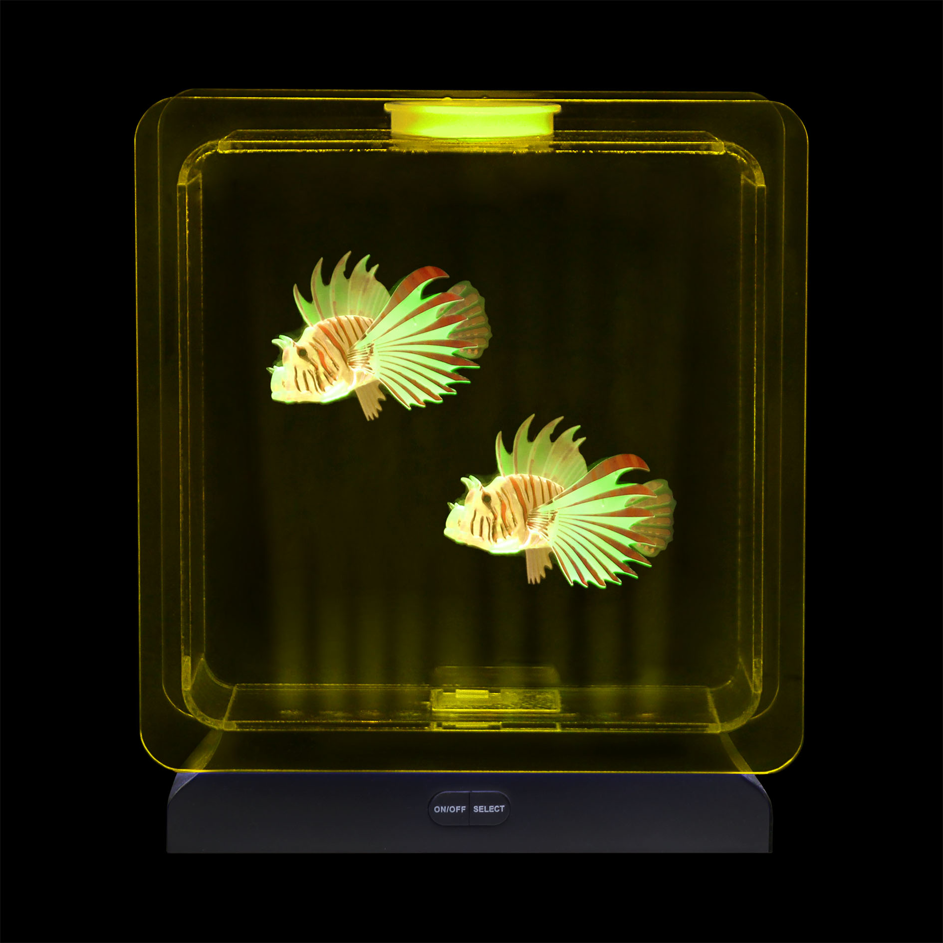 Tropical Fish Tank - Image 5